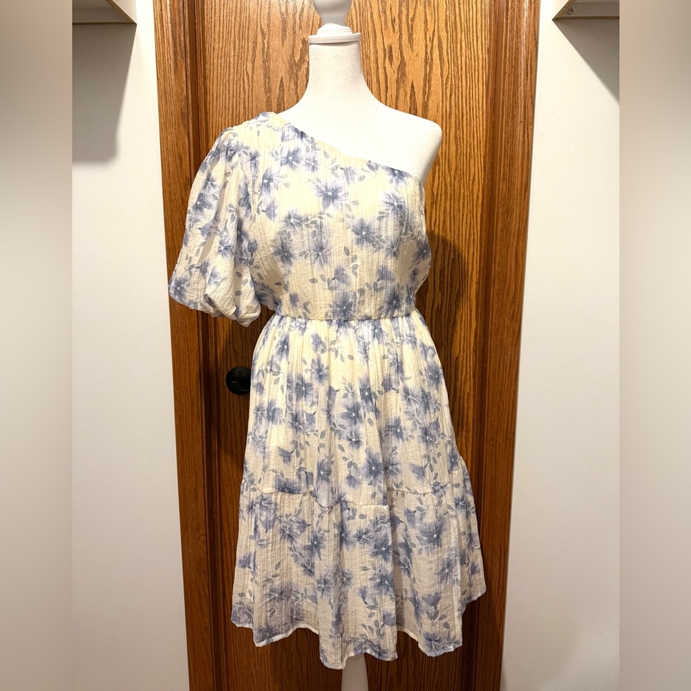 White and Blue Floral Dress